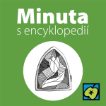 Obrázek epizody Vitráže