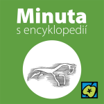 Obrázek epizody Bílý kůň