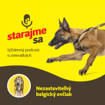Obrázek epizody Psy: Nezastaviteľný belgický ovčiak
