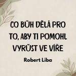 Obrázek epizody Co Bůh dělá pro to, aby ti pomihl vyrůst ve víře - Robert Liba 27.9.2026 CBH Chomutov