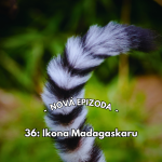 Obrázek epizody 36: Ikona Madagaskaru