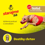 Obrázek epizody Psy: Dostihy chrtov