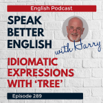 Obrázek epizody Speak Better English with Harry | Episode 289