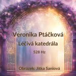 Obrázek epizody Veronika Ptáčková, Léčivá katedrála (528 Hz)