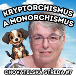 Obrázek epizody 👩‍⚕️Kryptorchismus a monorchismus👩‍⚕️| Chovatelská středa #7