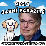 Obrázek epizody 🐶 Pes a JARNÍ PARAZITÉ 🐶 | Chovatelská středa #20