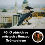Obrázek epizody 45: O ptácích ve městech s Honzou Grünwaldem