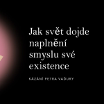 Obrázek epizody Jak svět dojde naplnění smyslu své existence - Petr Vaďura