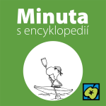 Obrázek epizody Kanoistika