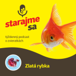 Obrázek epizody Akvaristika: Zlatá rybka