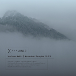 Obrázek epizody Various Artists - Axaminer Sampler vol.5