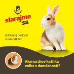 Obrázek epizody Drobné cicavce: Ako na chov králika voľne v domácnosti?