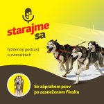 Obrázek epizody Psy: So záprahom psov po zasneženom Fínsku