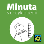 Obrázek epizody Brýle