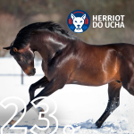 Obrázek epizody #23 Když máte koně v srdci 🐎 - MVDr. Libor Podojil