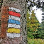 Obrázek epizody 11. květen - Den, kdy byla označena první turistická trasa