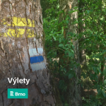 Obrázek epizody Osud Lidušky odložené v lese u Bílovic nad Svitavou dal vzniknout tradici vánočních stromů republiky