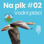 Obrázek epizody Na plk #02 : O kruté zimě, vodních ptácích, jejich adaptacích, i o síle lidské mysli