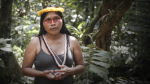 Obrázek epizody The forest is our teacher. It's time to respect it | Nemonte Nenquimo