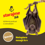 Obrázek epizody Špeciál: Netopiere nesajú krv