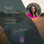 Obrázek epizody #19 Energetická revize roku