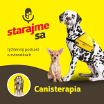 Obrázek epizody Psy: Canisterapia