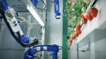 Obrázek epizody The sweet future of vertical farming | Hiroki Koga