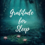 Obrázek epizody Sleep Meditation: Gratitude for Sleep