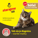 Obrázek epizody Mačky: Vek nie je diagnóza - staršie mačky