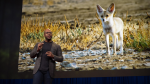 Obrázek epizody How life on Earth adapts to you and me | Shane Campbell-Staton