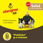 Obrázek epizody Psy: "Pozitívka" je o vnímaní
