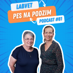 Obrázek epizody 🐶 PES na PODZIM 🐶 | Labvet Podcast #81