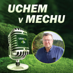 Obrázek epizody Uchem v mechu o kácení stromů s ředitelem Školního lesního podniku Mendelovy univerzity v Brně Tomášem Vrškou