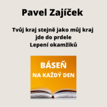 Obrázek epizody Pavel Zajíček - Tvůj kraj stejně jako můj kraj jde do prdele + Lepení okamžiků