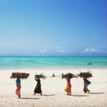 Obrázek epizody #16 Zanzibar vol 1