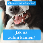 Obrázek epizody 🦷 Jak na ZUBNÍ KÁMEN? 🦷 | Chovatelská středa #40