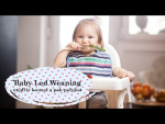 Obrázek epizody Baby Led Weaning