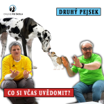 Obrázek epizody #38 Druhý pejsek? Co byste měli vědět?