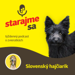 Obrázek epizody Psy: Slovenský hajčiarik