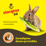 Obrázek epizody Drobné cicavce: Zariaďujeme domov pre králika