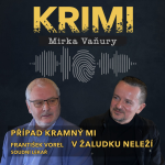 Obrázek epizody František Vorel - Případ Kramný mi v žaludku neleží