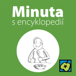 Obrázek epizody Rekordní jedlíci