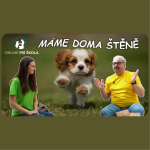 Obrázek epizody #27 Máme doma štěně