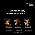 Obrázek epizody 19: Smysl ankety Sportovec roku II.