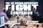 Obrázek epizody Fight Companion - November 24, 2018