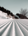 Obrázek epizody První lyže byly skoro tři metry dlouhé, říká trenér lyžování Aleš Suk