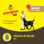 Obrázek epizody Psy: Výchova & Výcvik - tipy