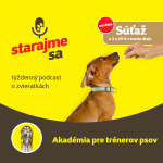 Obrázek epizody Psy: Akadémia pre trenérov psov