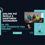 Obrázek epizody #20 Jak vychovat psa "online"