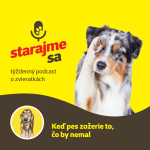 Obrázek epizody Psy: Keď pes zožerie to, čo by nemal
